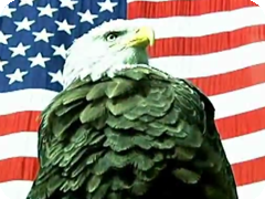 American Eagle Foundation